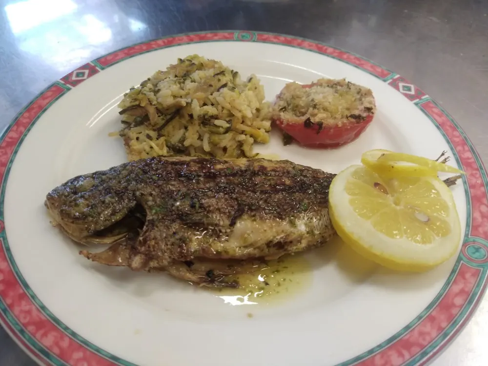 Dorade basilic
