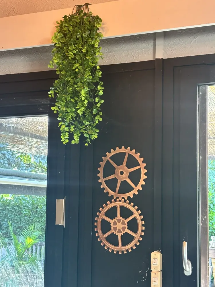 plante deco