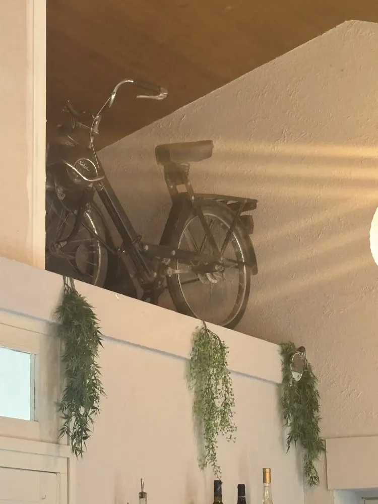deco velo